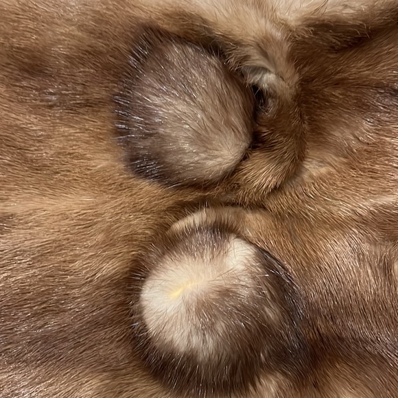 Vintage (retro, 1950s) Fur Capelet/Shawl - Picture 2 of 4